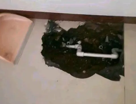 苍梧卫生间测漏水多少钱